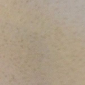 Meet your Posher, Lilly